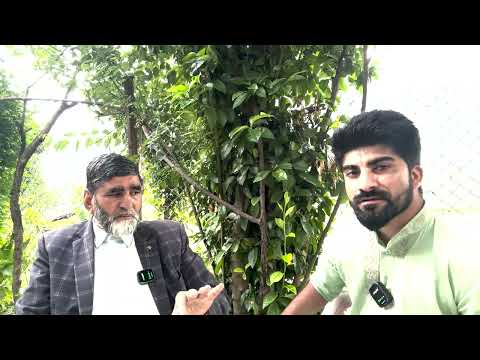 Discussion with prominent  Pahari  Poet and short story writer  Jenab  Sheikh Shabir Ahmed